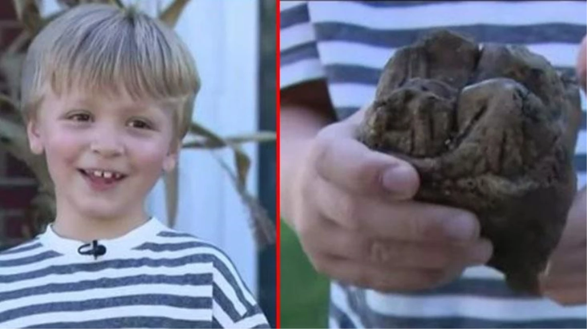 Ailesiyle yürüyüşe çıkan 6 yaşındaki çocuğun ayağına 12 bin yıl önce yaşayan hayvanın dişi takıldı