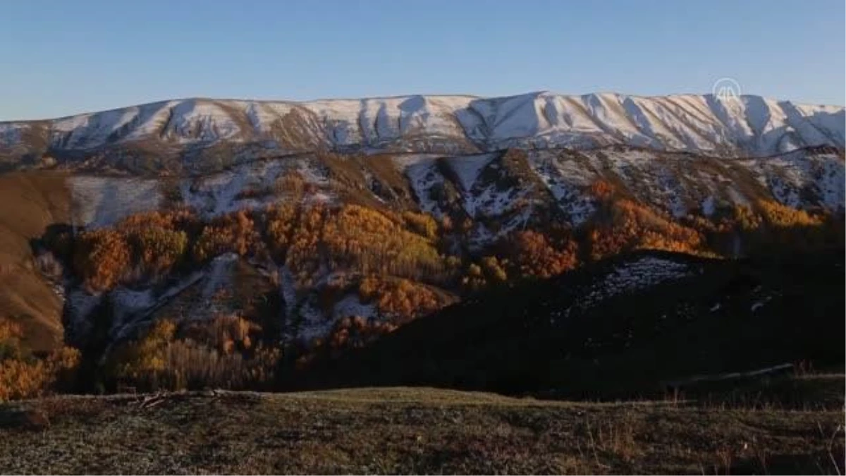 Erzurum\'un karlı dağlarında sonbaharın rengarenk güzelliği