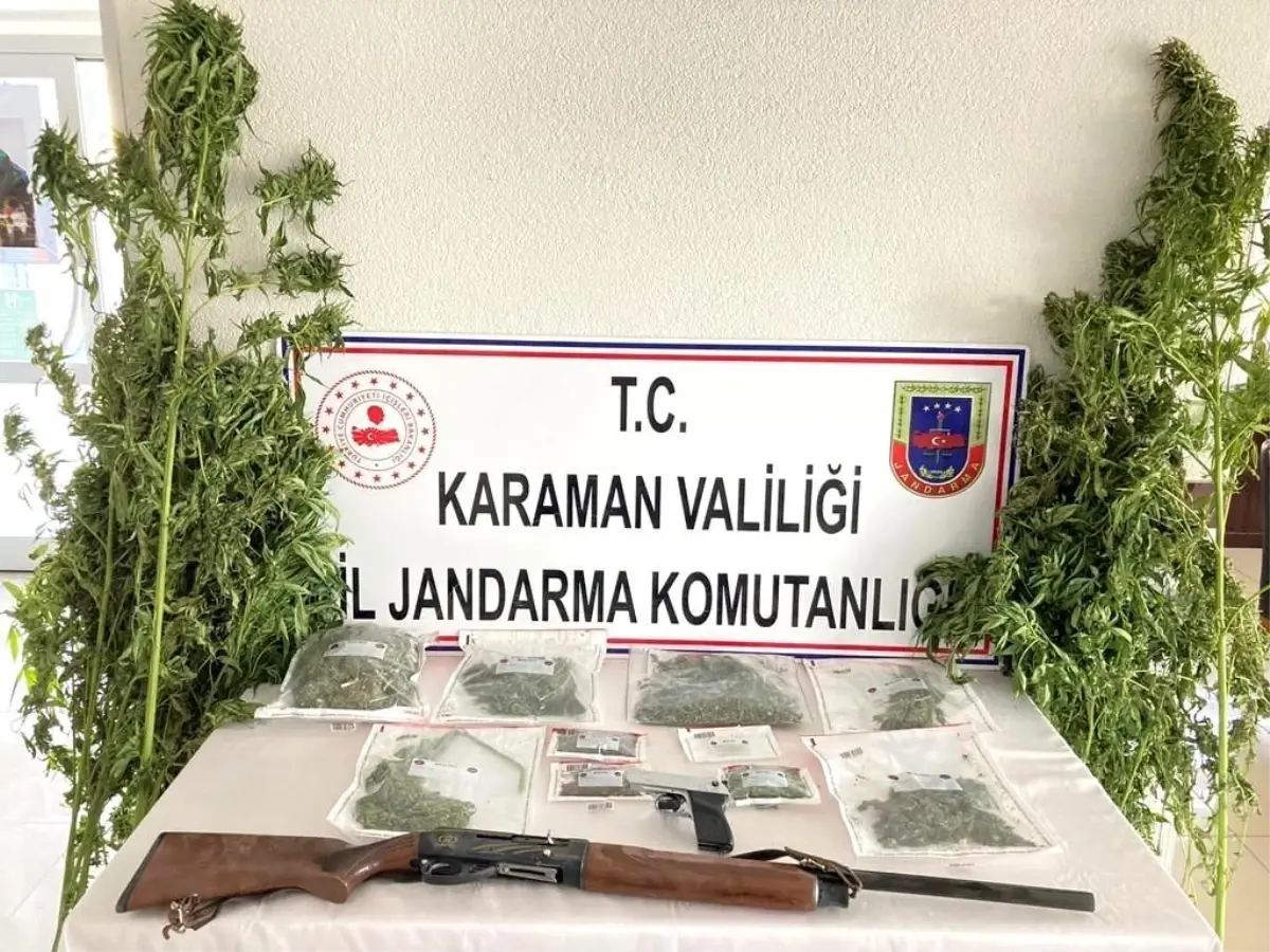 Son dakika! Karaman\'da jandarmanın esrar operasyonunda 3 kişi gözaltına alındı