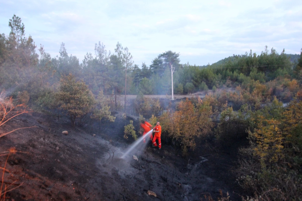 Son dakika haberleri: Kütahya\'daki orman yangını kontrol altına alındı