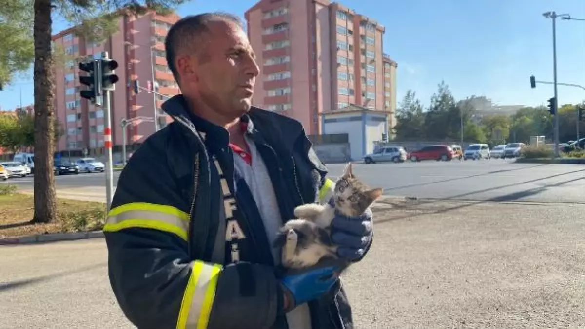 OTOMOBİLİN MOTORUNDAN KURTARILAN KEDİYE ASKERLER SAHİP ÇIKTI