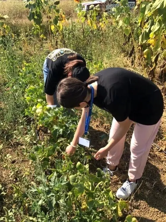 Özel gereksinimli bireyler için düzenlenen Benimde Üretime Katkım Var projesine yoğun ilgi