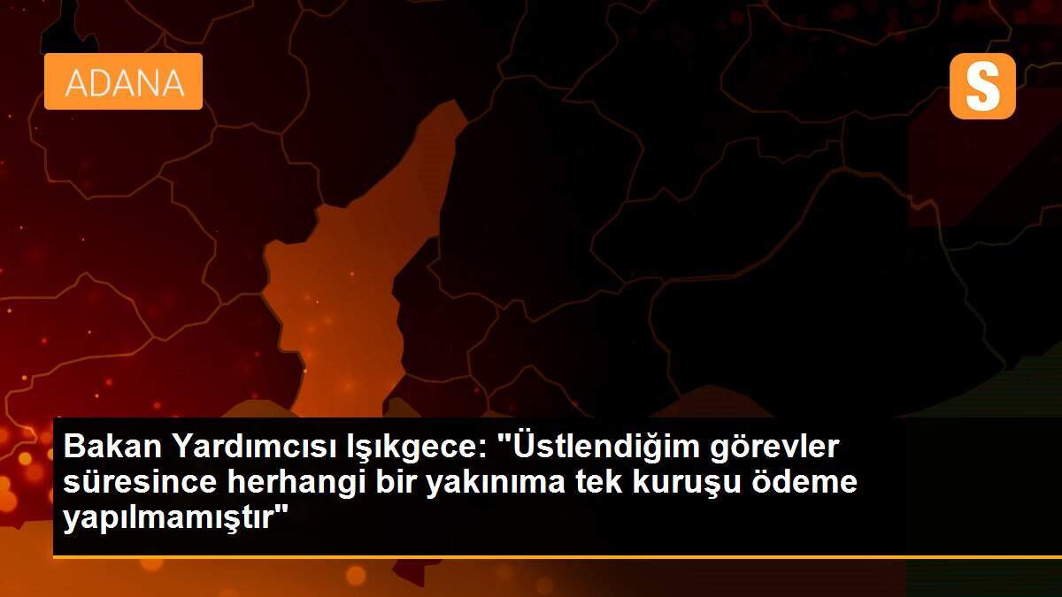 Bakan Yardımcısı Işıkgece: "Üstlendiğim görevler süresince herhangi bir yakınıma tek kuruşu ödeme yapılmamıştır"