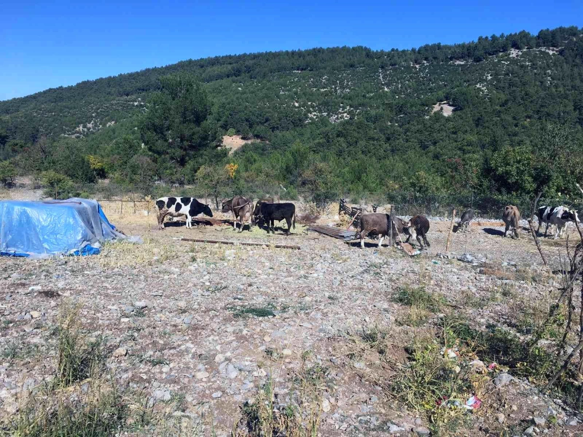 Kaynak yaparken kendilerini ve hayvanları yakıyorlardı