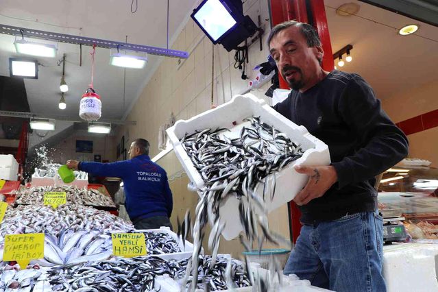 1 hafta önce 40 TL satılan hamsi 15 TL'ye kadar düştü