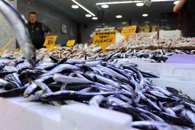 1 hafta önce 40 TL satılan hamsi 15 TL'ye kadar düştü