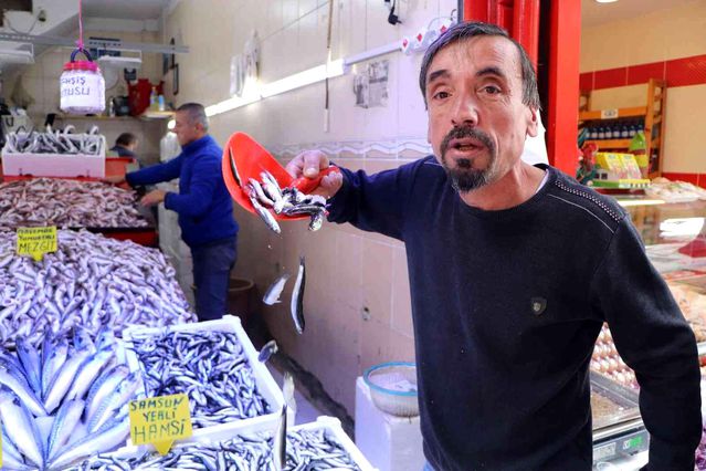 1 hafta önce 40 TL satılan hamsi 15 TL'ye kadar düştü
