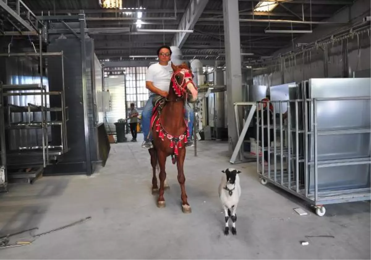 AT VE KUZUSUYLA İLGİLENEREK PSİKOLOJİK SORUNLARINDAN KURTULDU