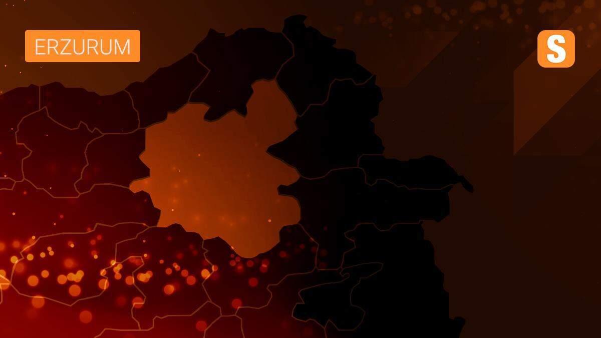 Erzurum\'da PKK/KCK\'ya yönelik operasyonda yakalanan iki zanlı tutuklandı