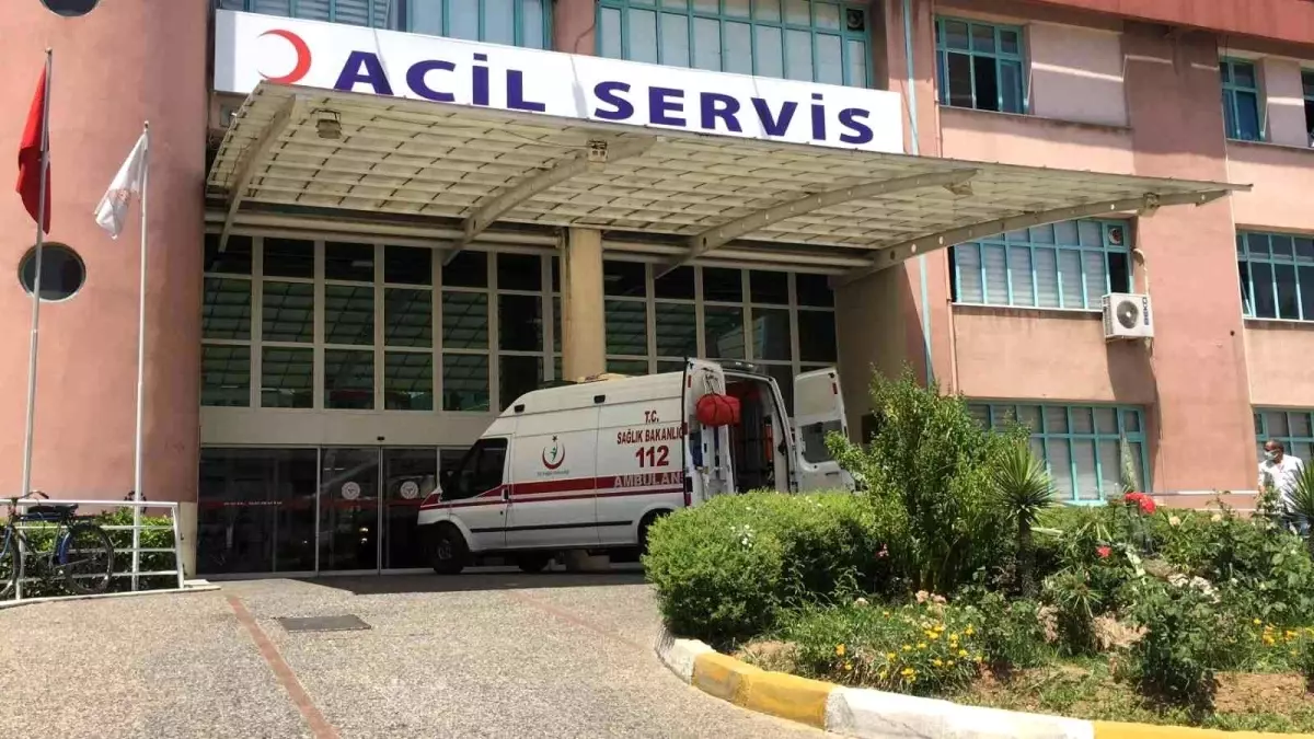 Son dakika haberleri: Eşeği ile birlikte yuvarlanan çiftçi ambulansla hastaneye kaldırıldı