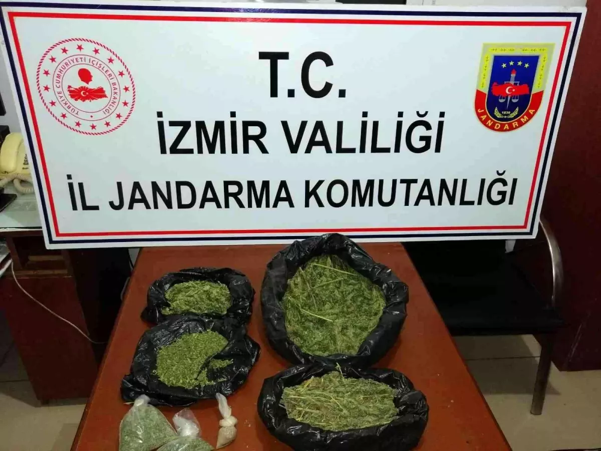 Son dakika haberi! İzmir\'de jandarmadan 6 ilçede uyuşturucu operasyonu