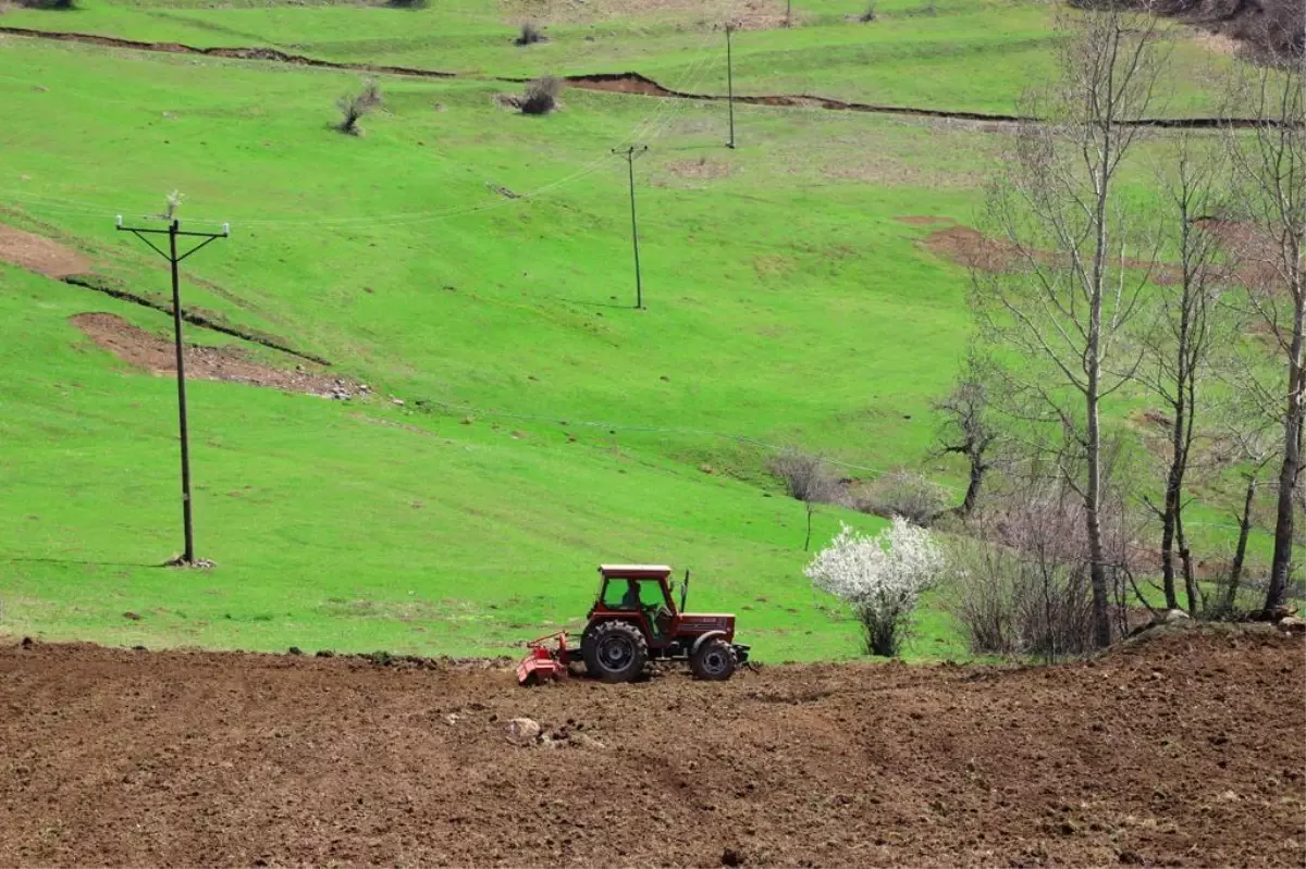 Son dakika haber: Ordu\'da 10 bin dönüm atıl arazi ekonomiye kazandırıldı