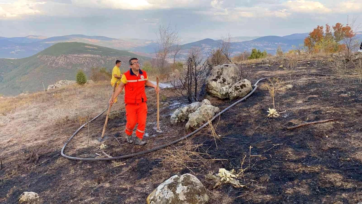 Son dakika haber | Ormanlık alanda başlayan yangın büyümeden söndürüldü