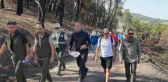 Osmaniye'de dağcılar orman yangınlarında zarar gören bölgede doğa yürüyüşü yaptı