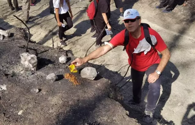 Osmaniye'de dağcılar orman yangınlarında zarar gören bölgede doğa yürüyüşü yaptı