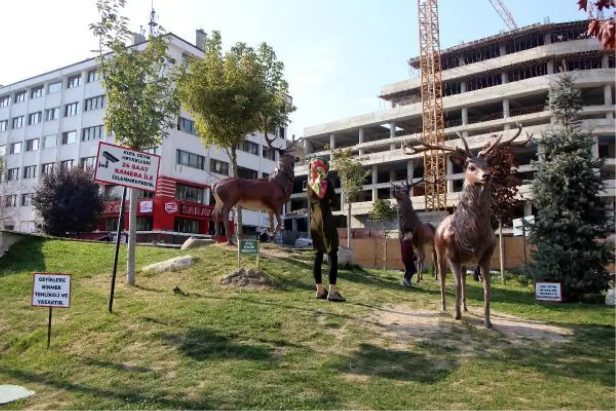 SÜREKLİ KIRILAN GEYİK HEYKELLERİNE KAMERALI ÖNLEM