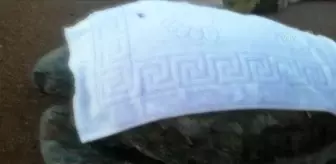 Yaralı bulunan caretta caretta tedaviye alındı