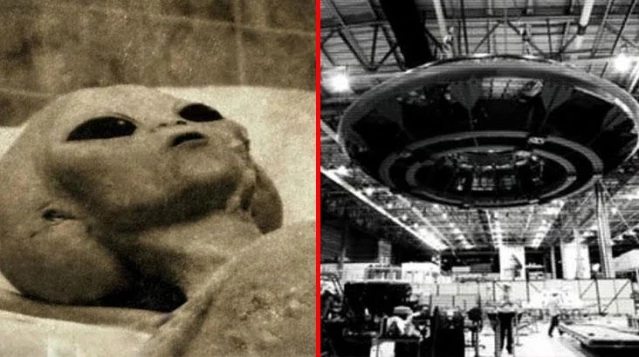 CIA'nın gizli yazışmaları ortaya çıktı! 1962'de 2 uzaylıyı ölü olarak bulmuşlar