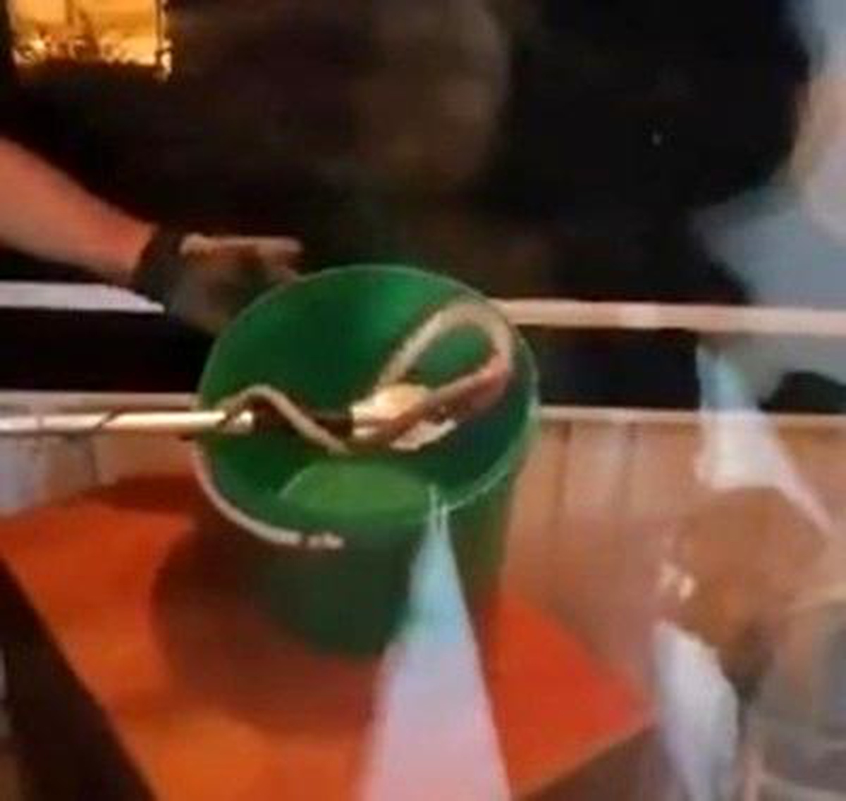 Elazığ\'da eve giren yılan paniğe neden oldu