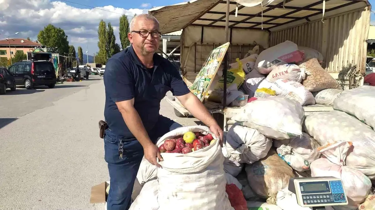 Hisarcık\'ta döküntü elma alımları başladı