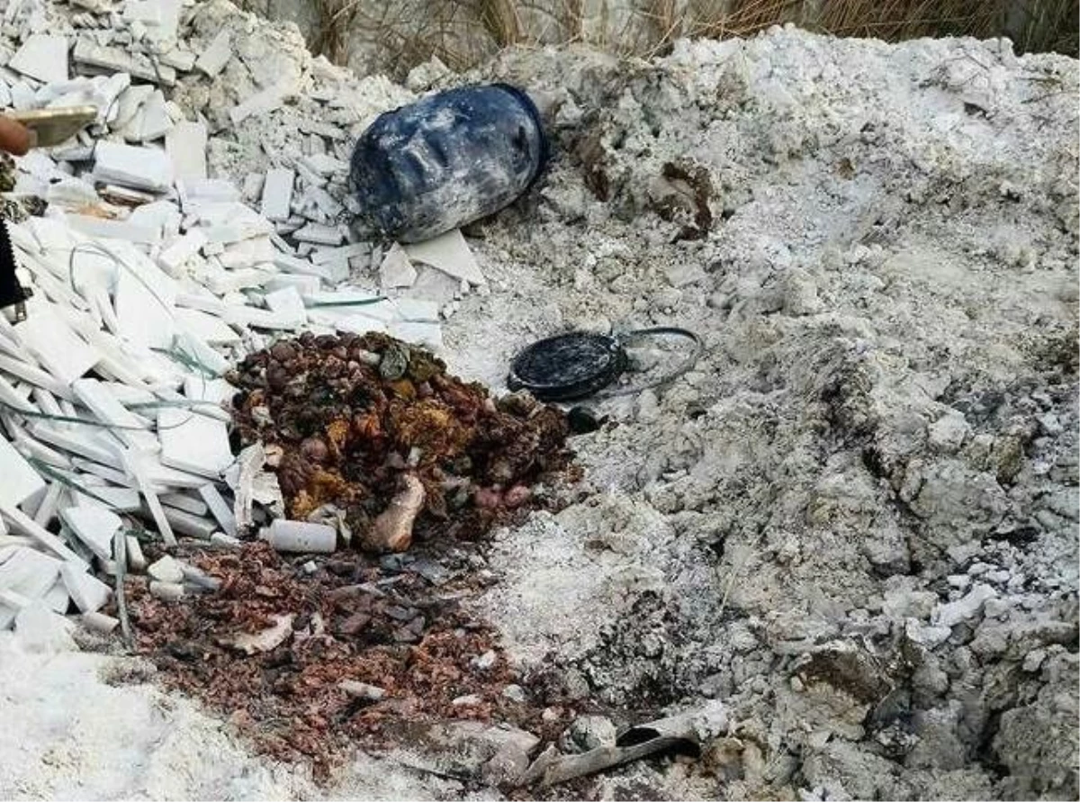 İzmir\'de boş arazide insan vücudu parçaları bulundu