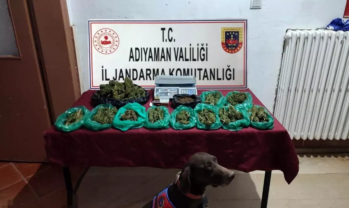 Son dakika haber... Jandarma ekiplerinden uyuşturucuya geçit yok