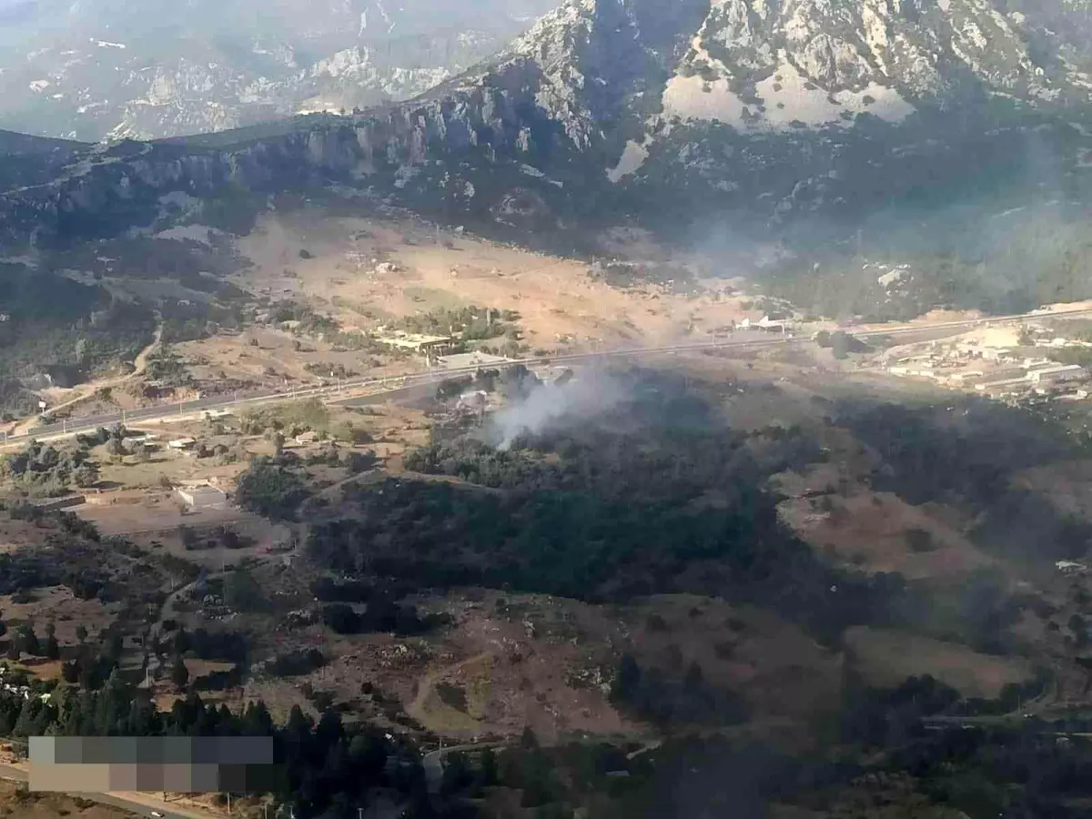 Son dakika haberi! Makilik alanda çıkan yangında 10 dönüm alan zarar gördü