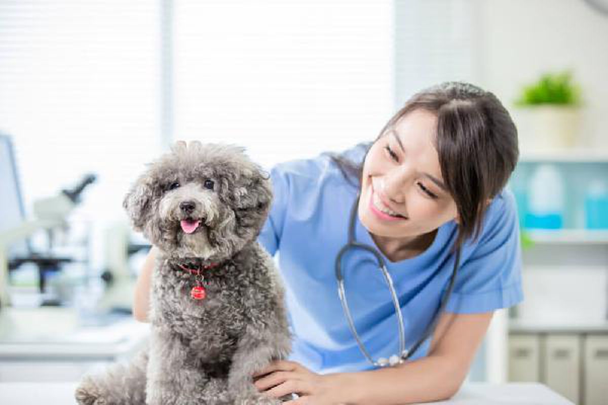 Royal Canin\'den kadın veteriner hekimlere destek
