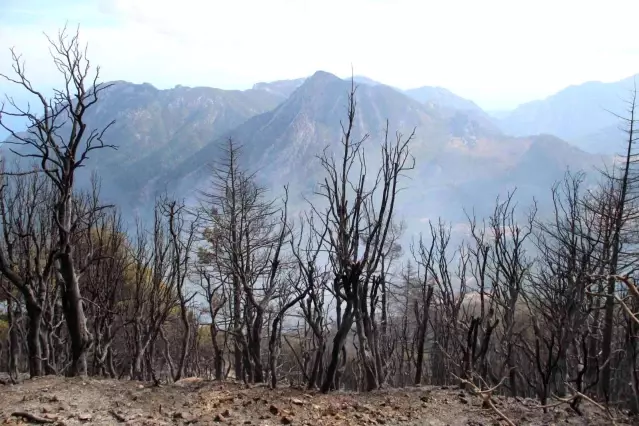 Antalya'da alevlerin üzerilerine geldiği ekiplerin zor anları