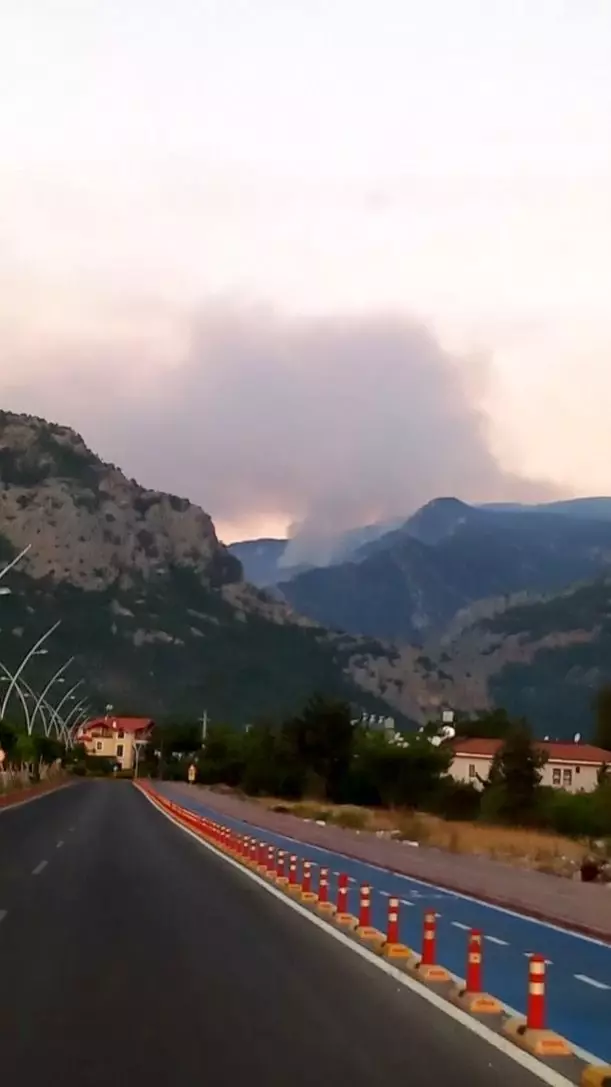 Antalya'daki yangına havadan ve karadan müdahale sürüyor