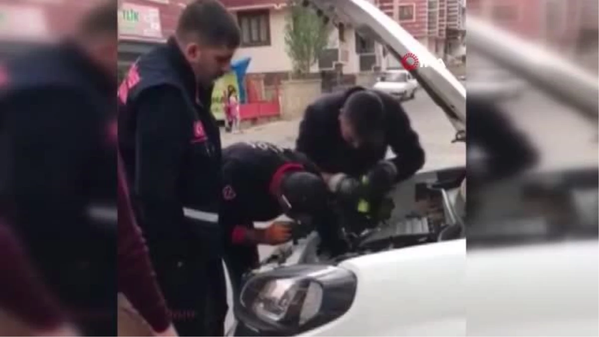 Aracın motor kısmına giren kediyi itfaiye ekipleri kurtardı