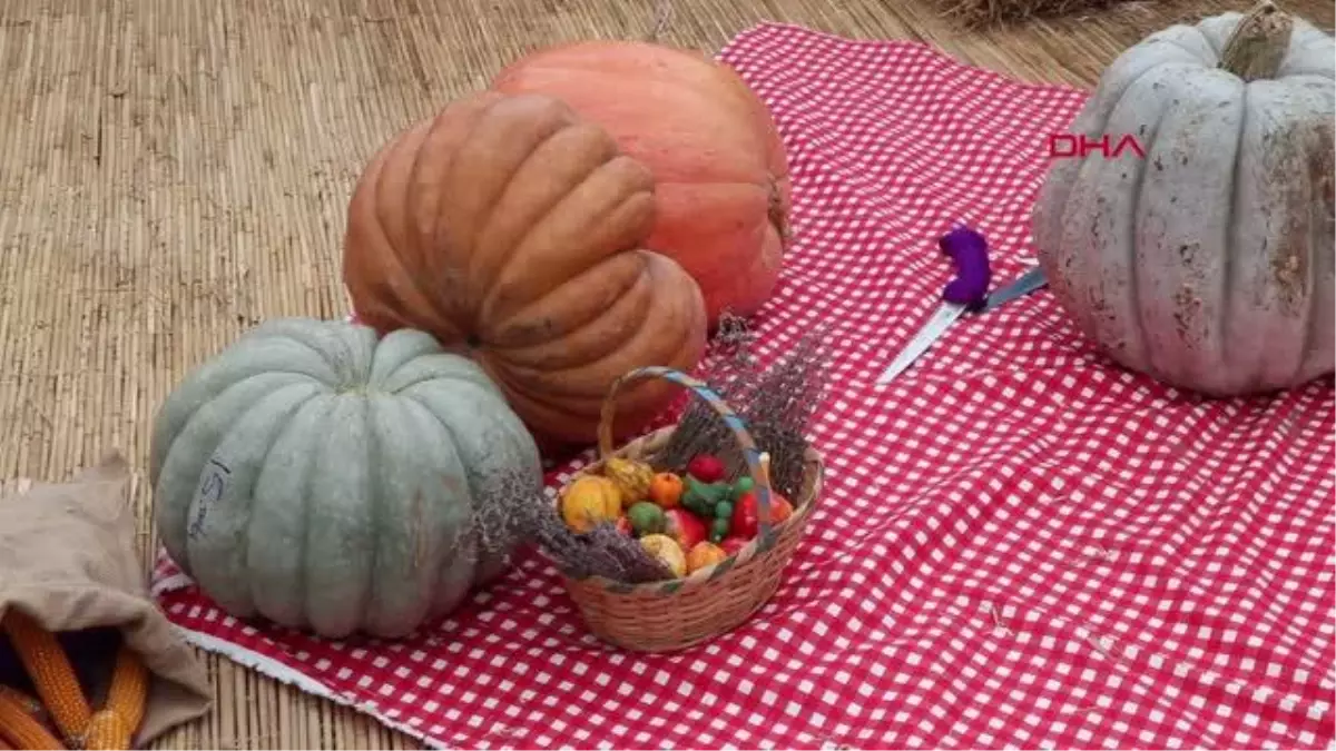 EDİRNE\'DE İLK KEZ DÜZENLENECEK \'KABAK FESTİVALİ\'NE KABAK TATLISIYLA DAVET