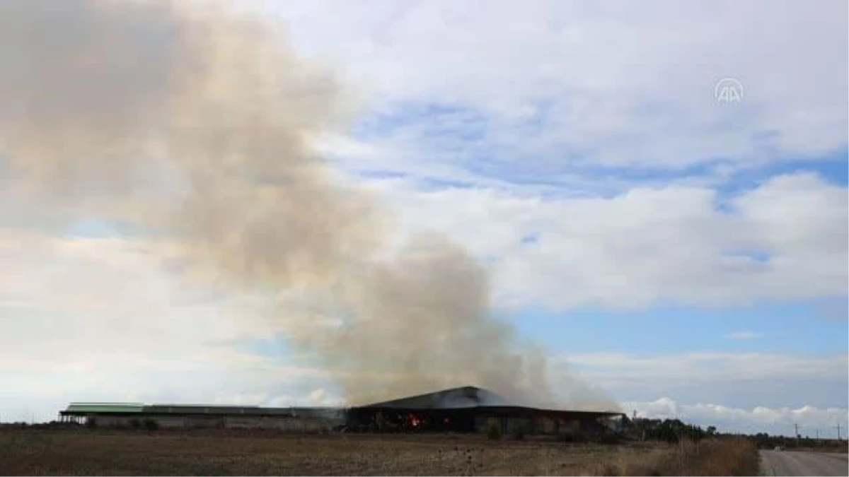KIRKLARELİ - Besi çiftliğindeki kontrol altındaki yangını söndürme çalışmaları sürüyor