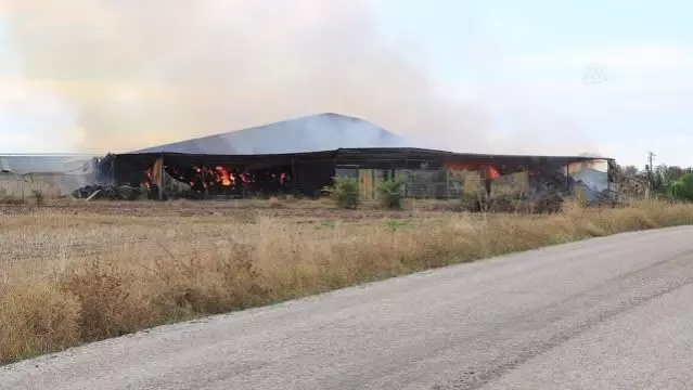 KIRKLARELİ - Besi çiftliğindeki kontrol altındaki yangını söndürme çalışmaları sürüyor