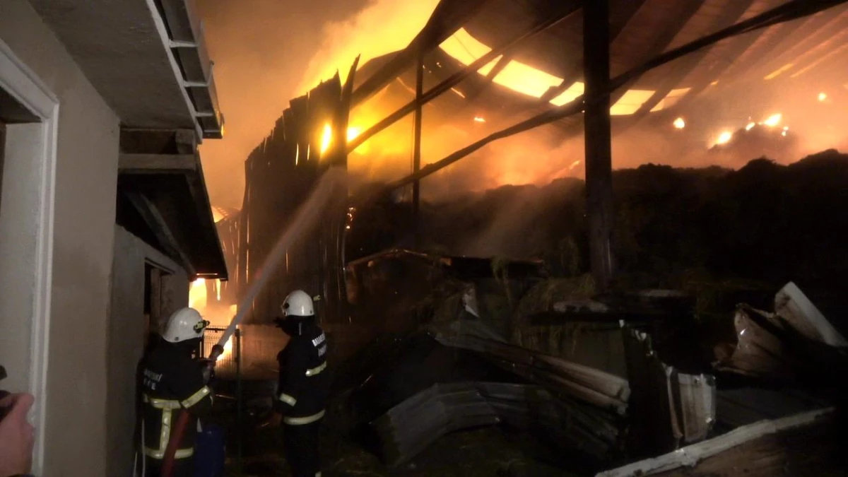 Son dakika haber... Kırklareli\'nde hayvan çiftliğinde çıkan yangına müdahale devam ediyor