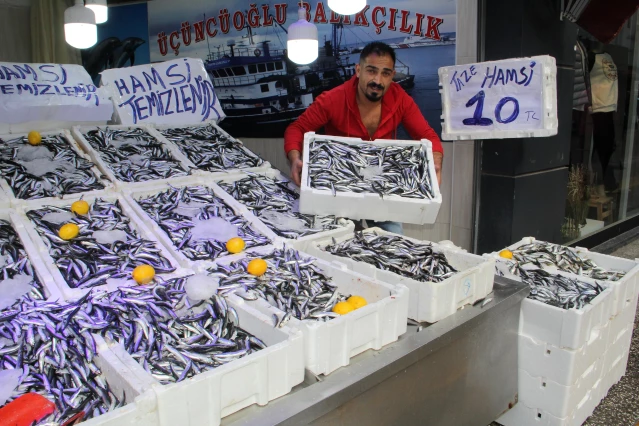 Sinop'ta hamsinin kilosu 10 liraya düştü