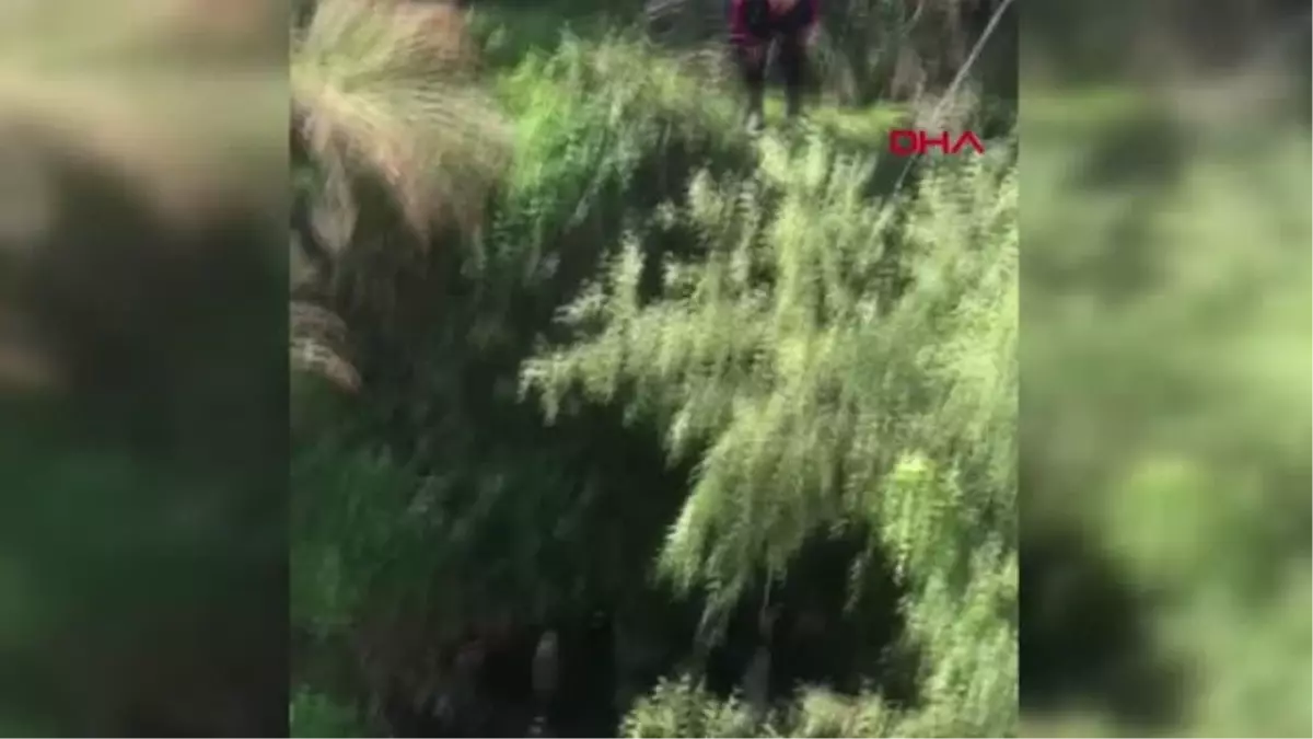 SU DOLU HAFRİYAT ÇUKURUNA DÜŞEN KÖPEĞİ İTFAİYE KURTARDI