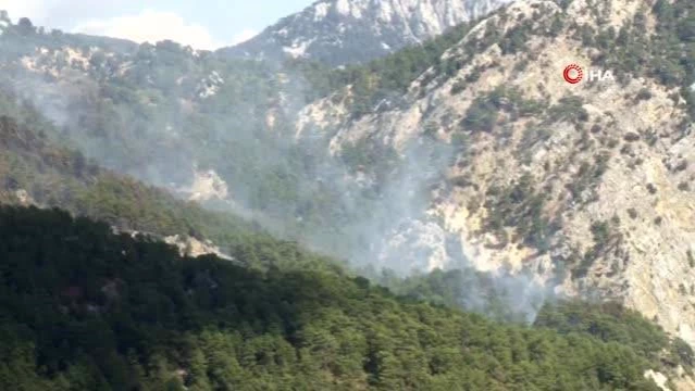 Son dakika haberleri... Yıldırım düşmesi sonucu çıkan orman yangınına 3 farklı noktadan 1,5 kilometrelik hortumlarla müdahale ediliyor