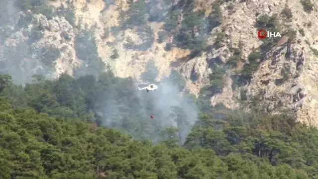 Son dakika haberleri... Yıldırım düşmesi sonucu çıkan orman yangınına 3 farklı noktadan 1,5 kilometrelik hortumlarla müdahale ediliyor