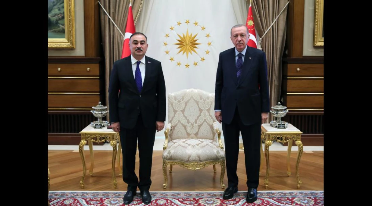 Son dakika haberleri: Avustralya\'nın Ankara Büyükelçisi Armitage, Cumhurbaşkanı Erdoğan\'a güven mektubu sundu