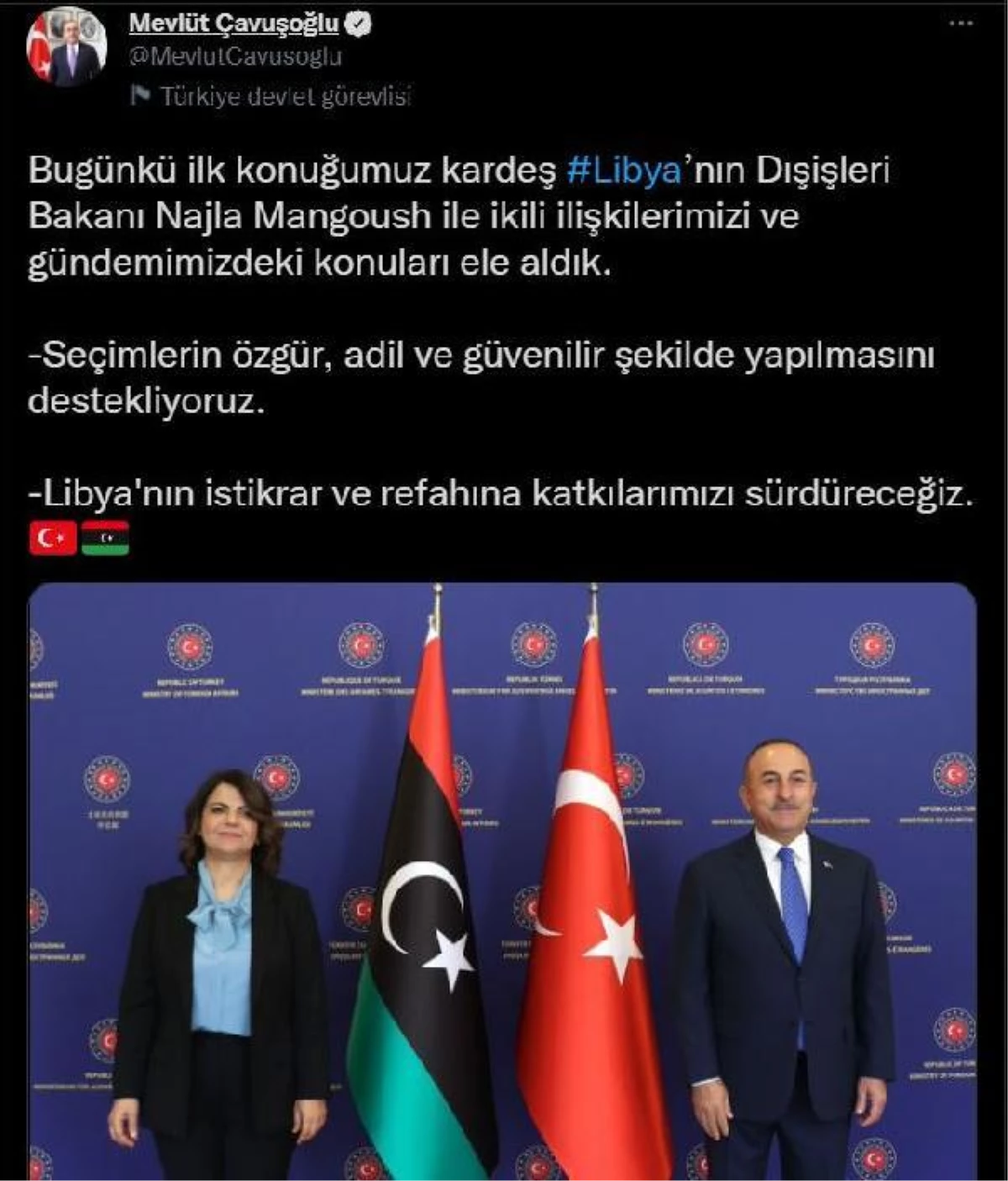 Bakan Çavuşoğlu, Libya Dışişleri Bakanı Manguş ile görüştü (2)
