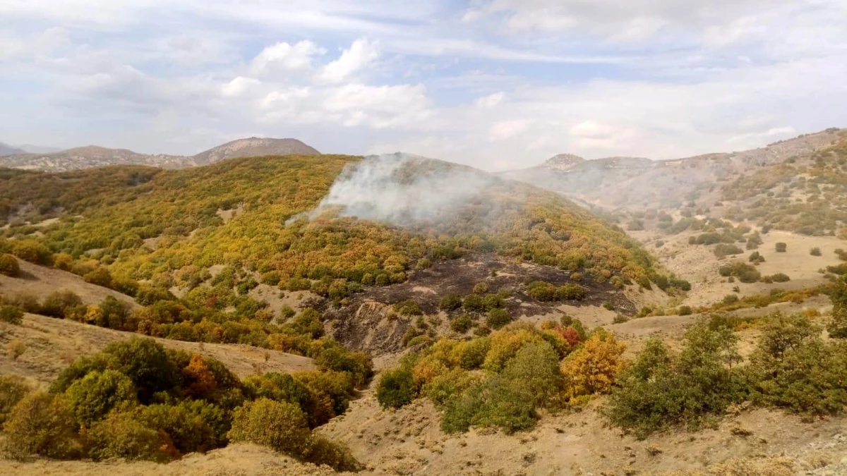 Bingöl\'deki orman yangınları kontrol altına alındı