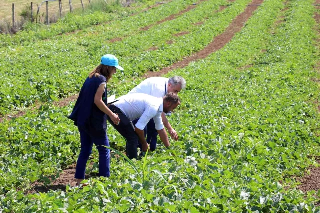 Büyükşehir'den 2 bin 700 çiftçiye tohum desteği