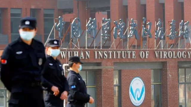 Covid: WHO, koronavirüsün kökenini tespit etmek için yeni bir uzman heyet oluşturdu