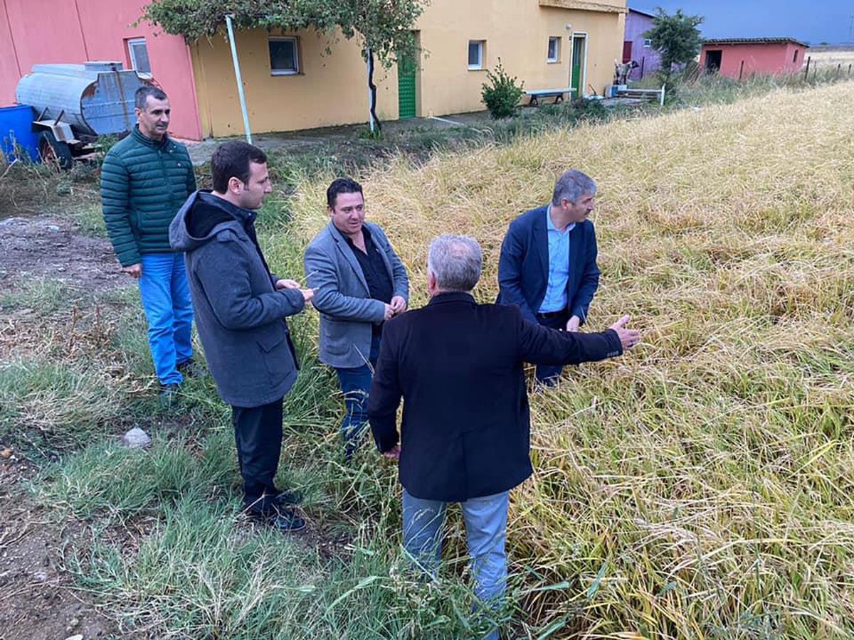 Edirne\'de dolunun vurduğu 13 bin dönümlük çeltik arazisinde hasar tespiti