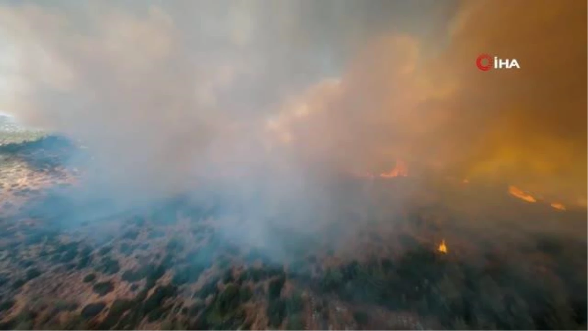 Son dakika haberi: \'İklim değişikliği sürecinde orman yangınları" çalıştayı 2\'nci gününde