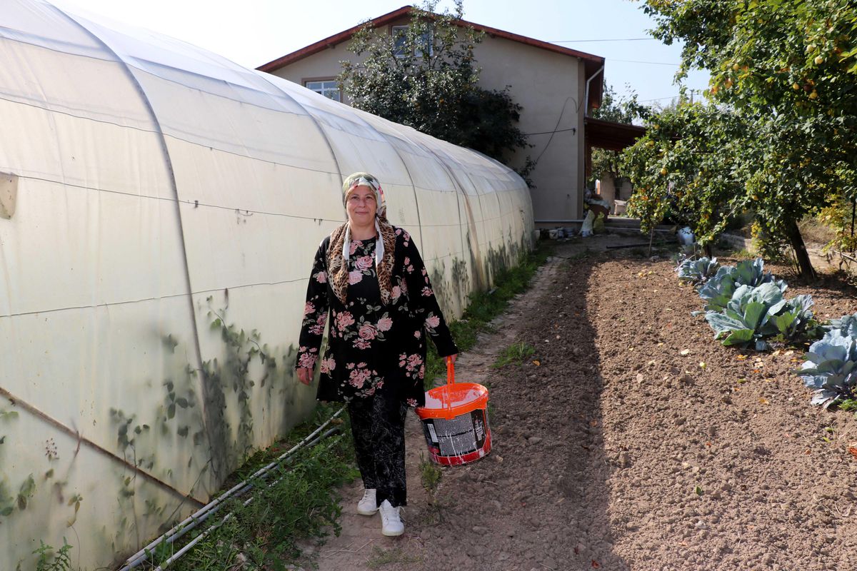 Kadın girişimci devlet desteğiyle büyüttüğü serasında sebze üretiyor