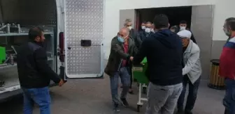 Kayseri'de yarış atlarını taşıyan kamyonet devrildi: 2 ölü, 1 yaralı (2)