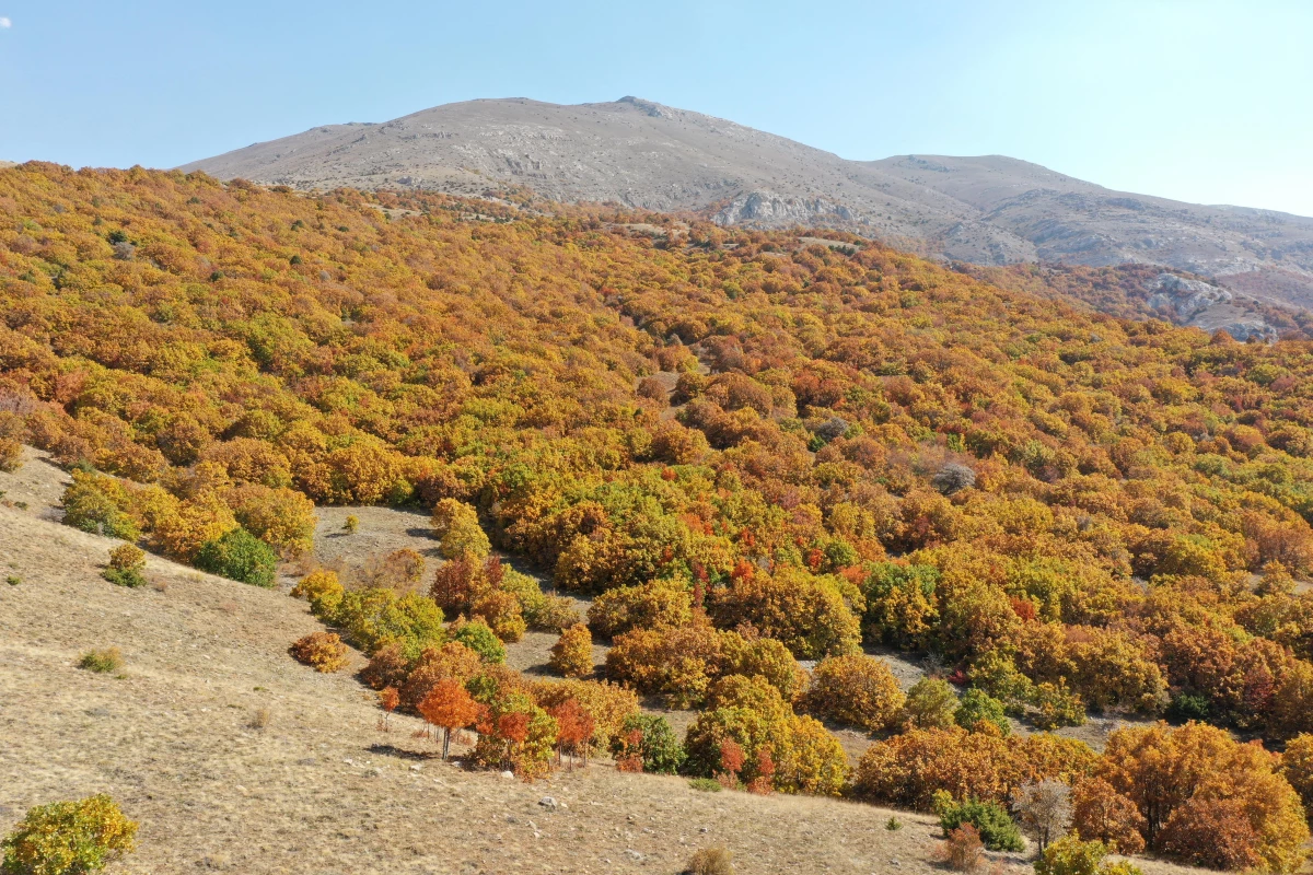 Sivas\'ta Tecer Dağı ve Paşabahçe Mesire Alanı sonbahar renkleriyle etkiliyor