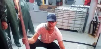 60 yıl sonra boğazda kılıç balığı ağlara takıldı